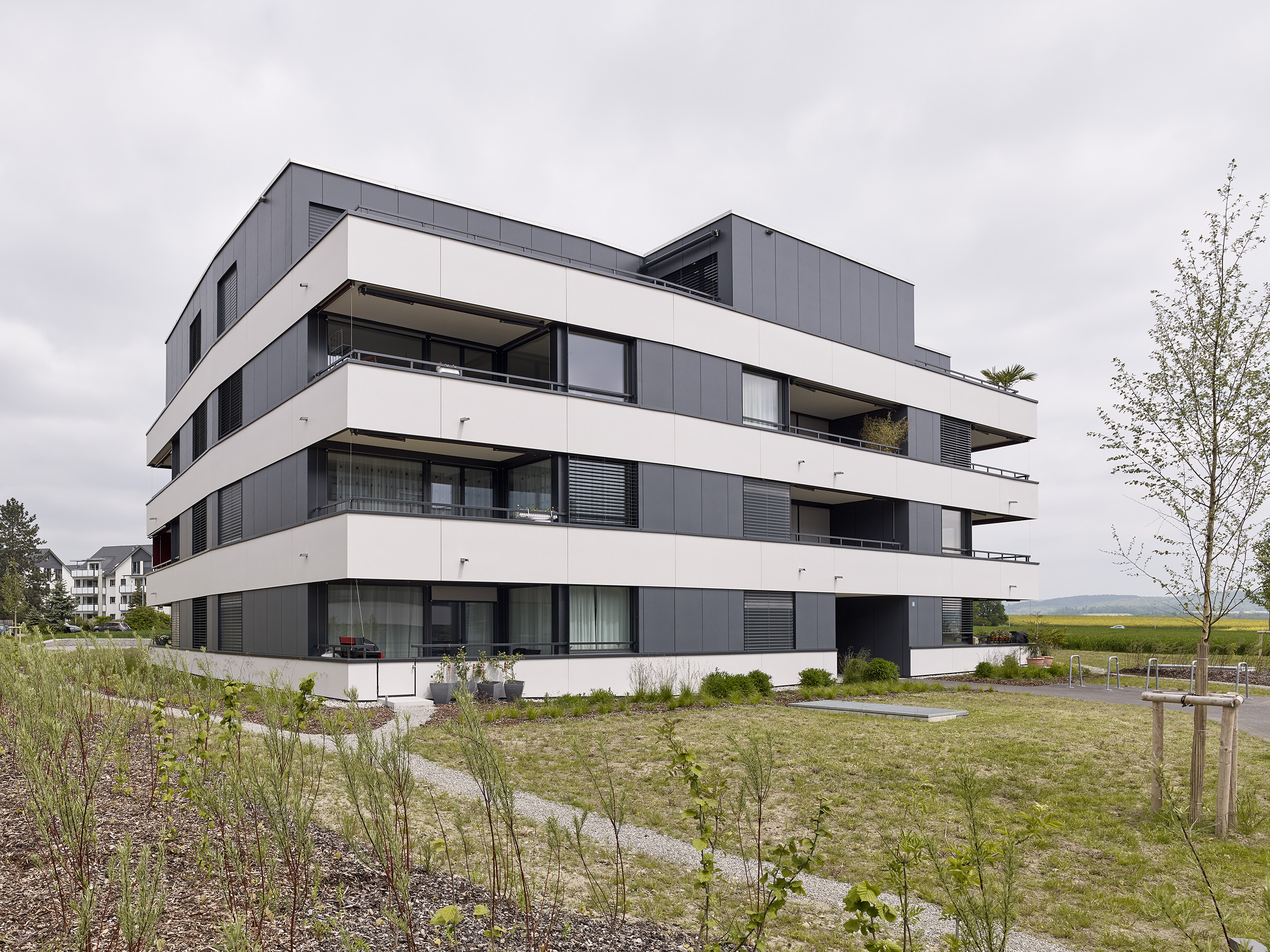 E18686 Alpa 088637 SCREEN